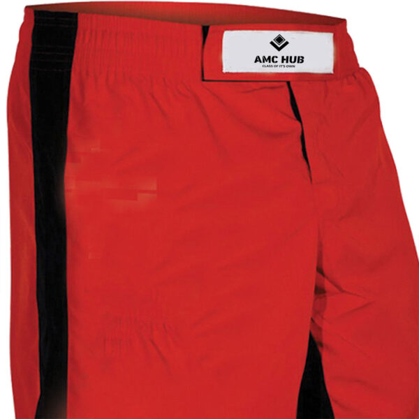 AMC MMAS2 MMA Shorts (3)